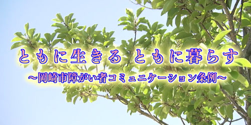 市役所発→情報特急１１月特集（１）ともに生きるともに暮らす～岡崎市障がい者コミュニケーション条例～