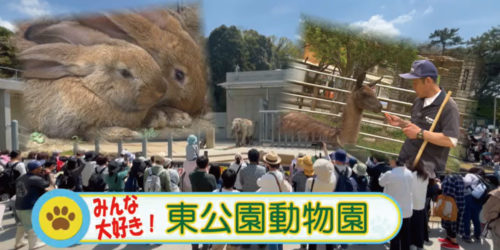 市役所発→情報特急５月特集（１）みんな大好き！東公園動物園