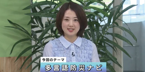 暮らしの便利帳｜【５月】｜ おかざきのマメ情報～！！