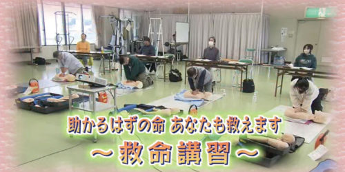 市役所発→情報特急６月特集（１）救命講習