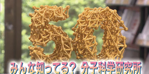 市役所発→情報特急７月特集（１）みんな知ってる？分子科学研究所