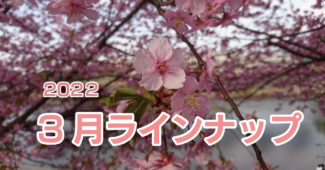 乙川の葵桜（東明大寺町）｜３月のラインナップ｜イメージ写真