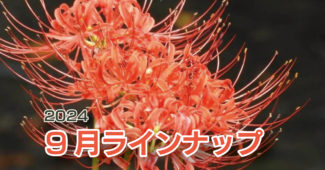 -令和6年９月ラインナップ・総合案内-