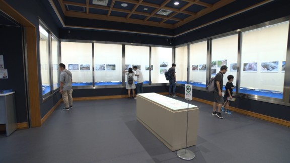 企画展 岡崎城跡出土品展Ⅲ開催中