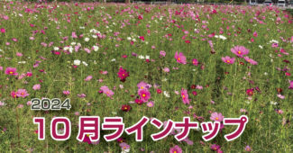 -令和6年10月ラインナップ・総合案内-