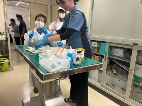 獣医師体験　行われる